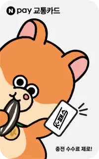 네이버페이 모바일교통카드 카드 이미지